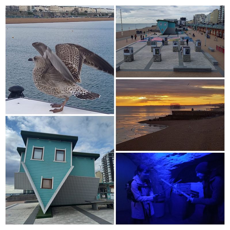 1488c30e 6320 4445 87e2 c31dee514c82 COLLAGE