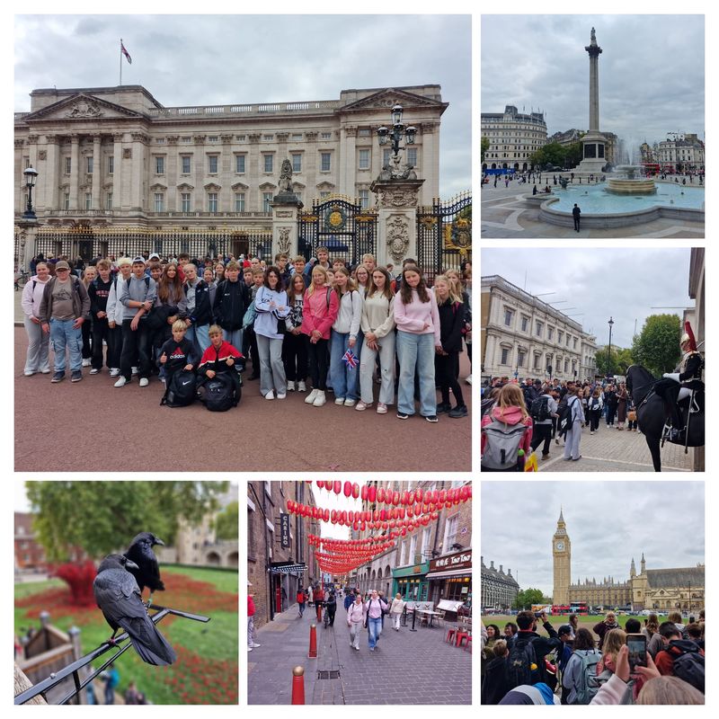 7fc876f9 0717 4e44 9970 3341c6f3f999 COLLAGE