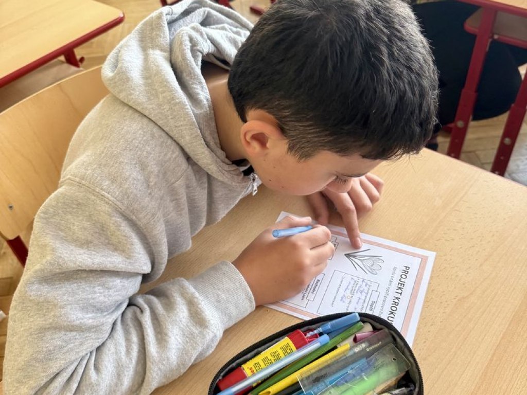 projekt-krokus-male-cibulky-velka-vzpominka 11