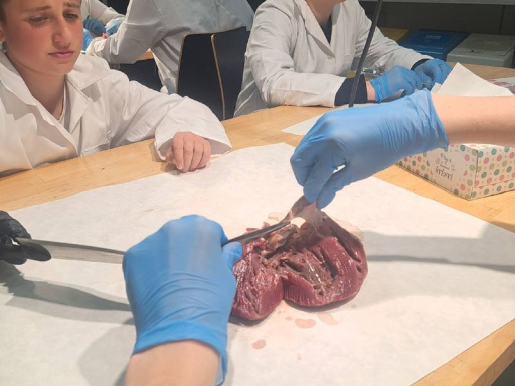 operace-prase-aneb-vyprava-za-tajemstvim-srdce 3