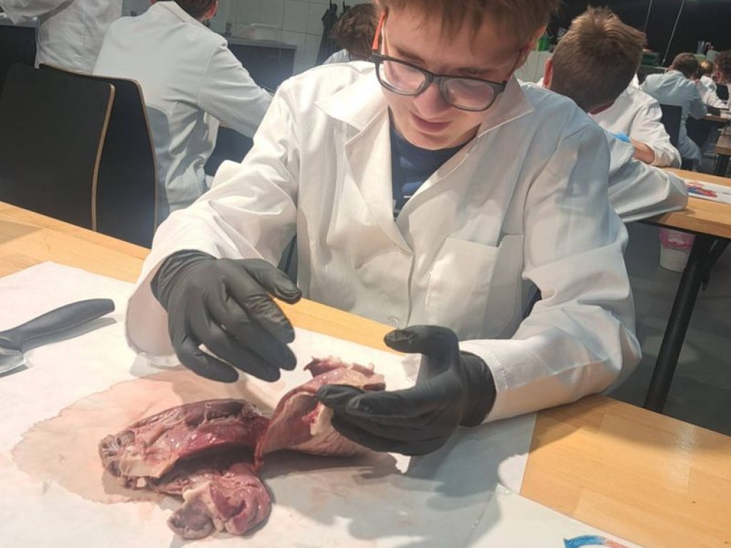 operace-prase-aneb-vyprava-za-tajemstvim-srdce 5