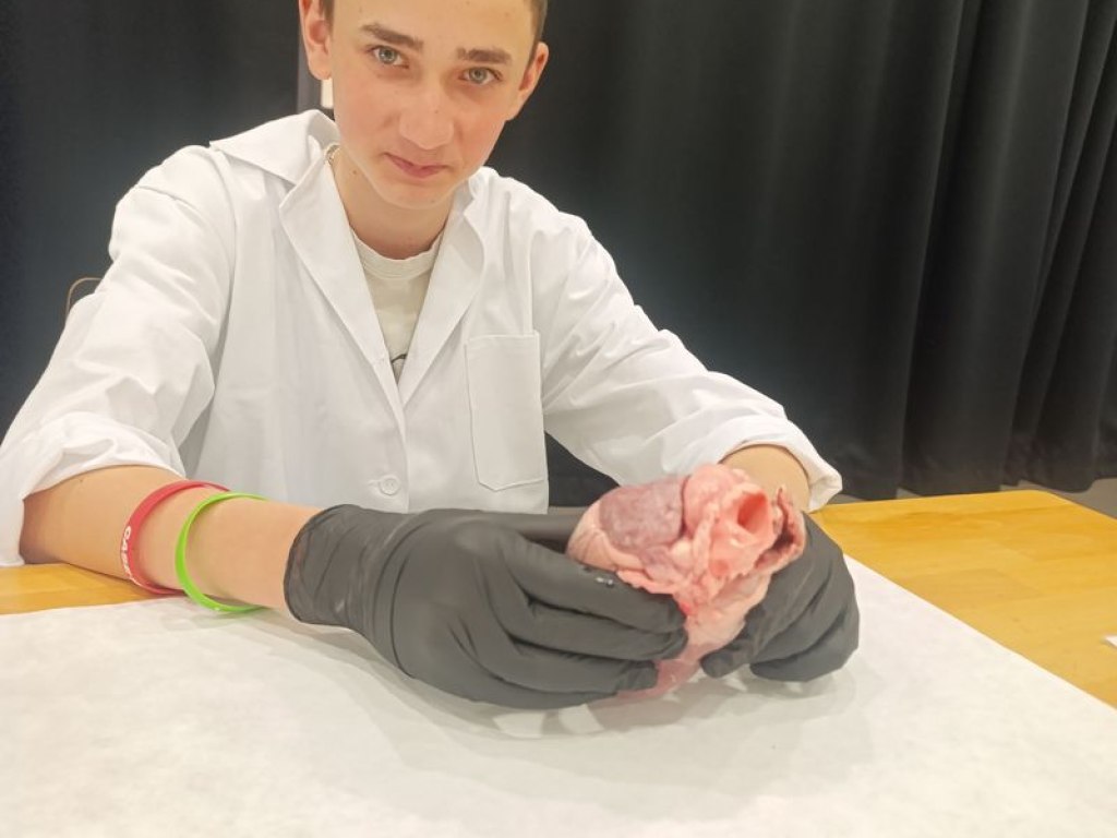 operace-prase-aneb-vyprava-za-tajemstvim-srdce 6