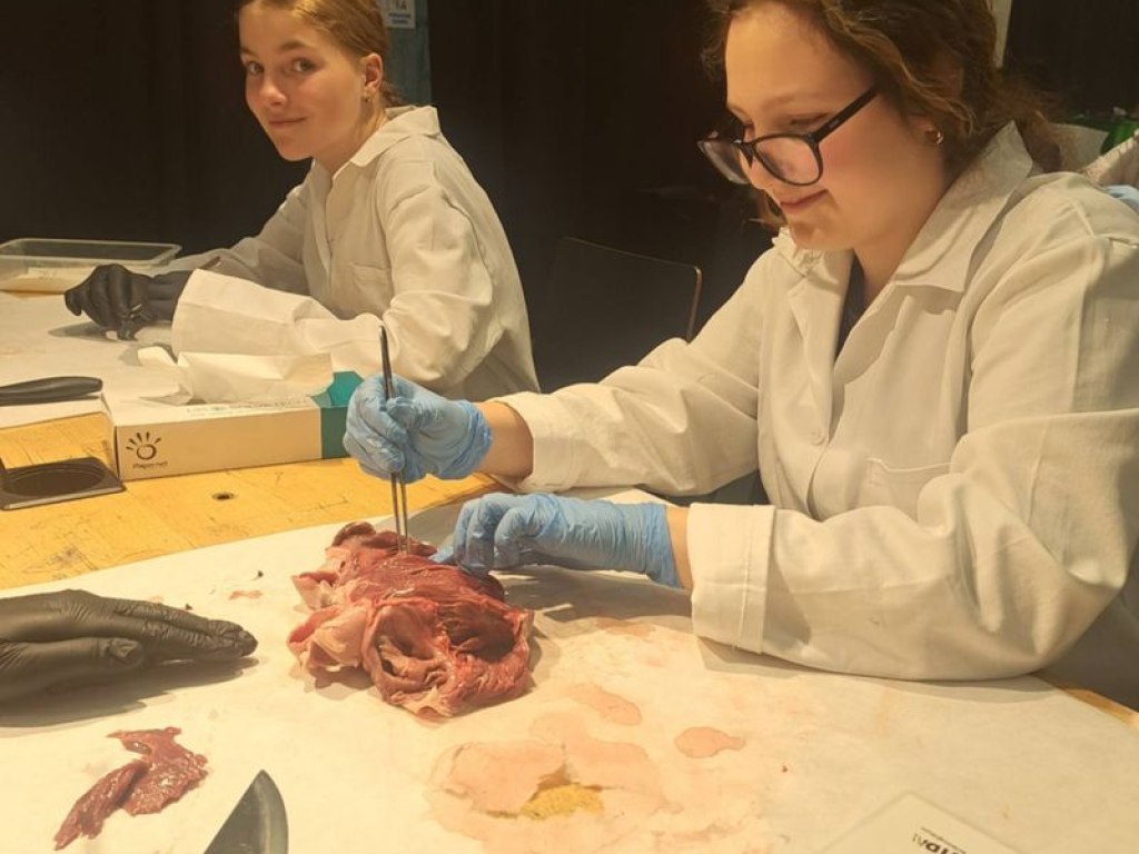 operace-prase-aneb-vyprava-za-tajemstvim-srdce 7