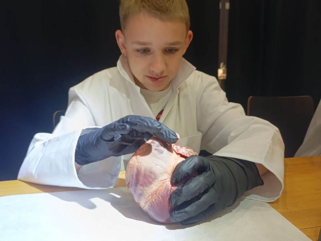 operace-prase-aneb-vyprava-za-tajemstvim-srdce 8