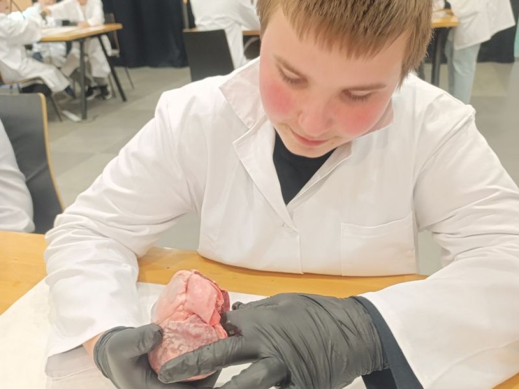 operace-prase-aneb-vyprava-za-tajemstvim-srdce 10