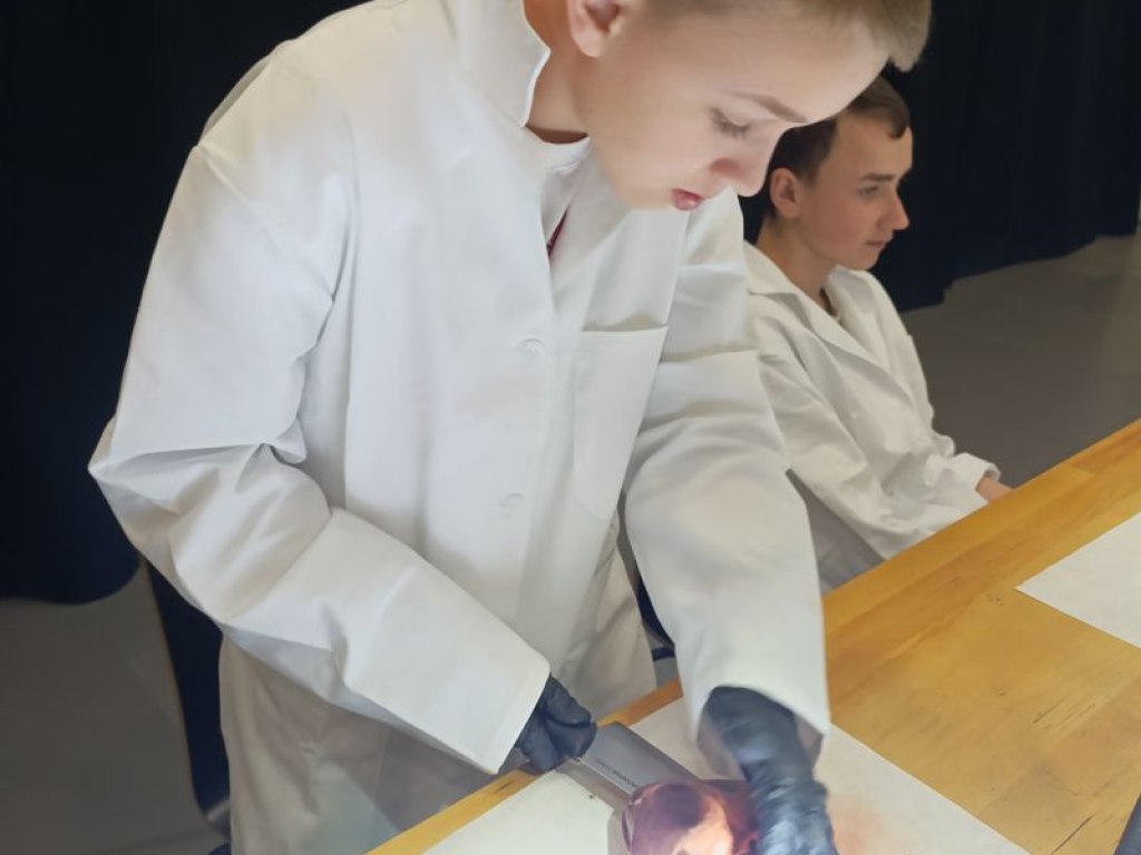 operace-prase-aneb-vyprava-za-tajemstvim-srdce 11