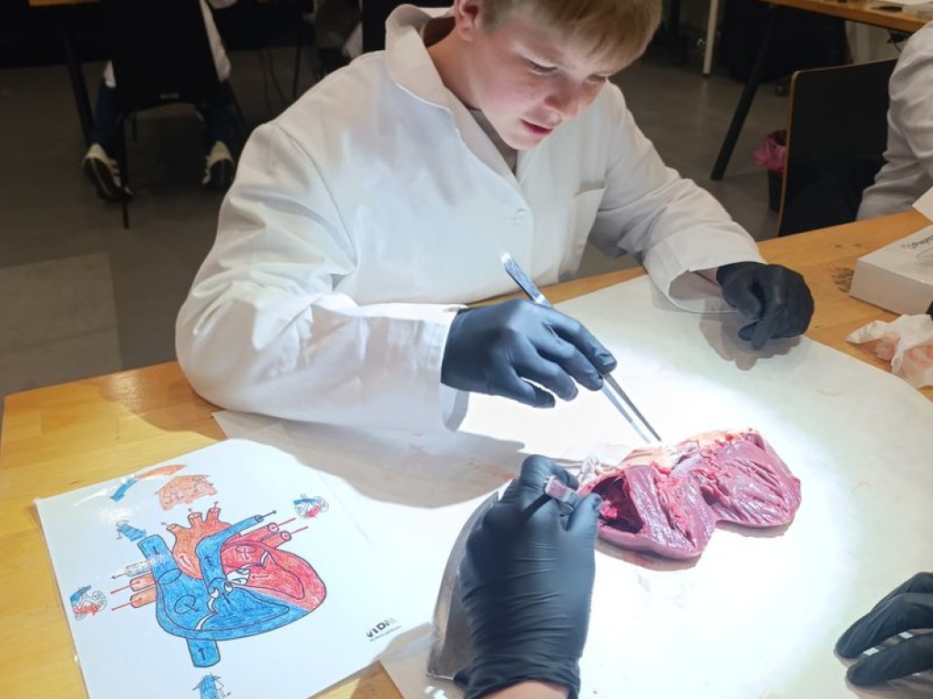 operace-prase-aneb-vyprava-za-tajemstvim-srdce 12