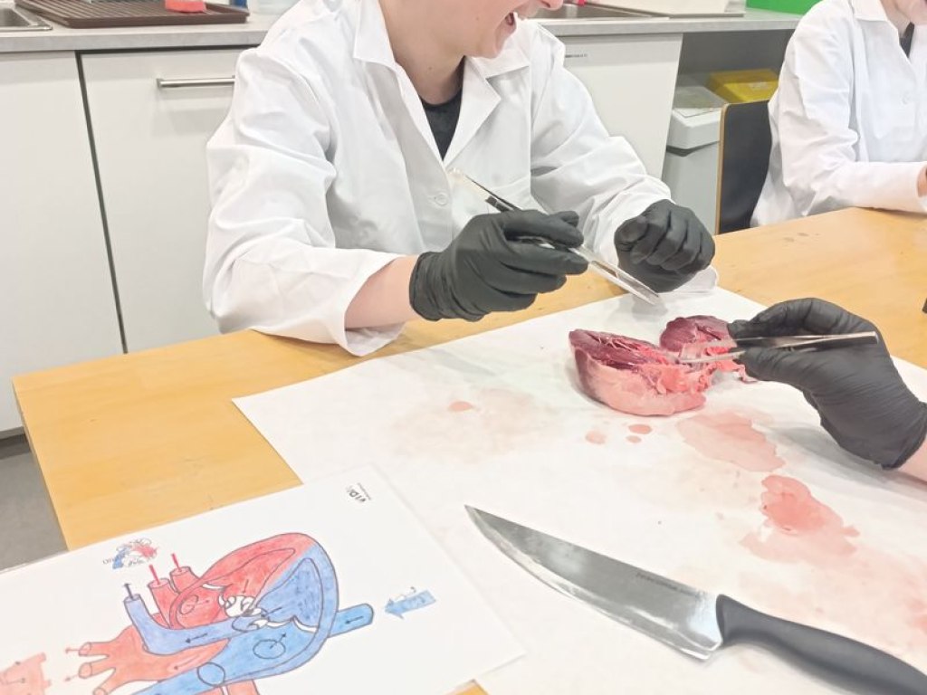 operace-prase-aneb-vyprava-za-tajemstvim-srdce 13