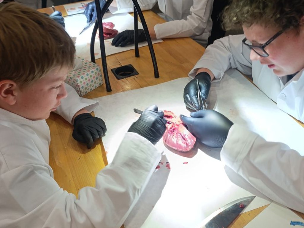 operace-prase-aneb-vyprava-za-tajemstvim-srdce 14