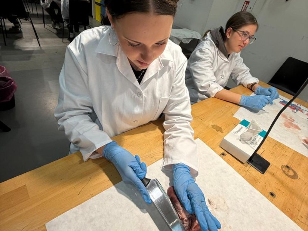 operace-prase-aneb-vyprava-za-tajemstvim-srdce 18