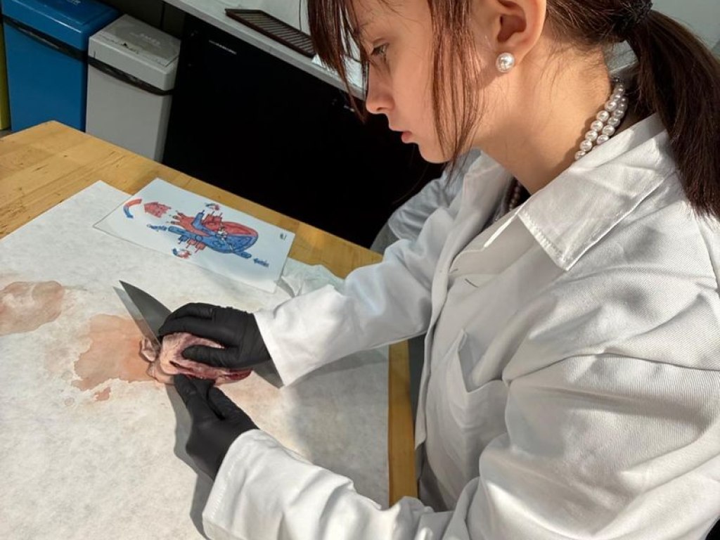 operace-prase-aneb-vyprava-za-tajemstvim-srdce 19