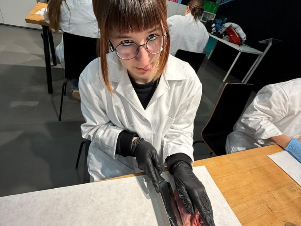 operace-prase-aneb-vyprava-za-tajemstvim-srdce 21