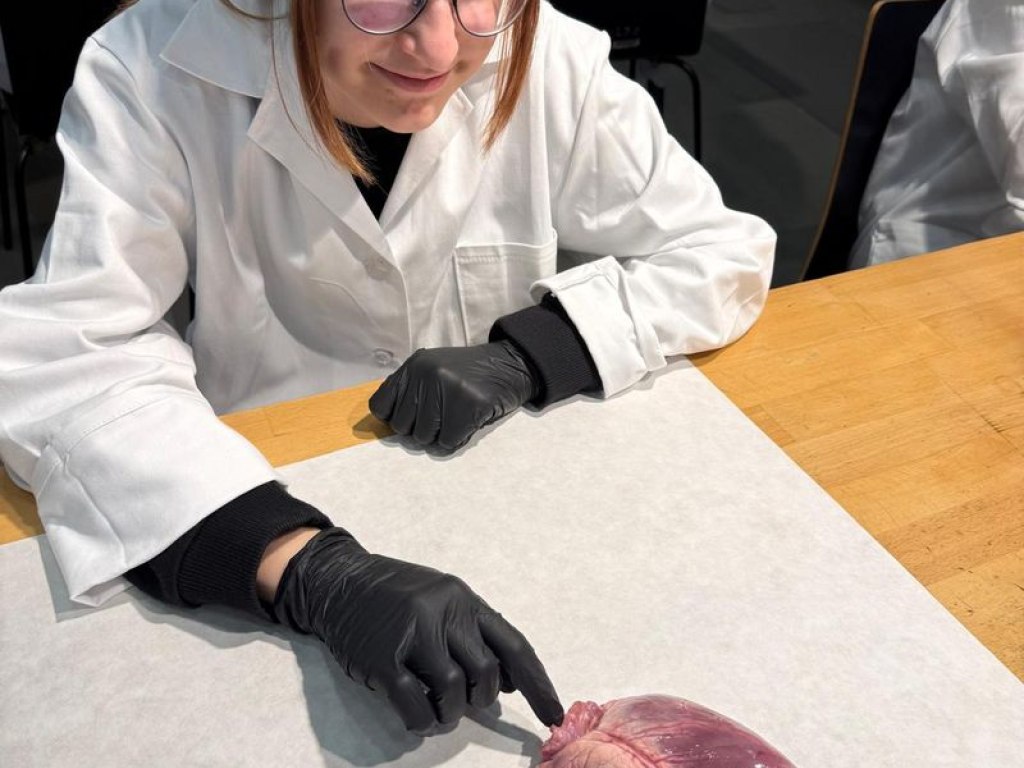 operace-prase-aneb-vyprava-za-tajemstvim-srdce 22