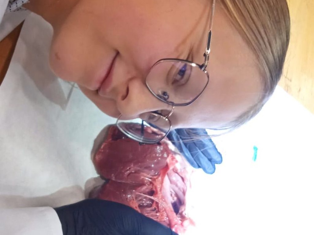 operace-prase-aneb-vyprava-za-tajemstvim-srdce 26