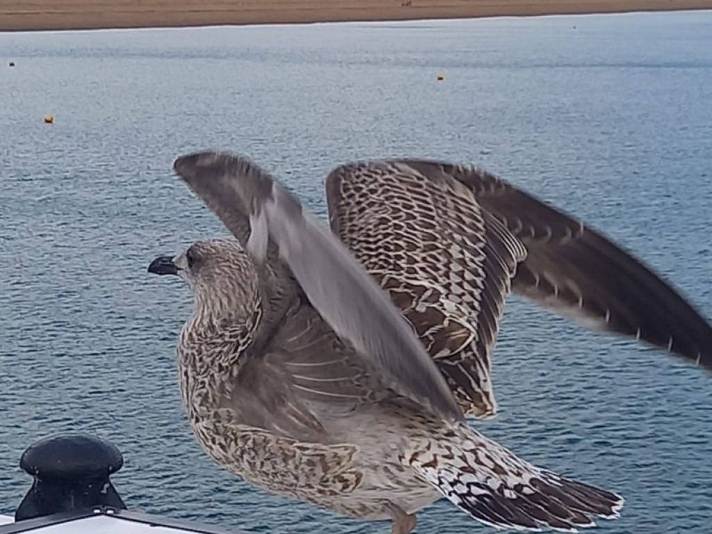 jazykovy-pobyt-anglie-2025 13